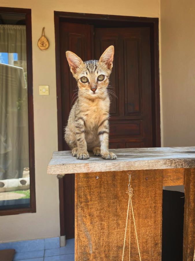 Jimador'S Homestay Τζίλι Τραγουανγκάν Εξωτερικό φωτογραφία